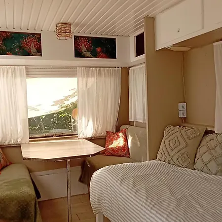 La Vintage Insolite * Lacaze