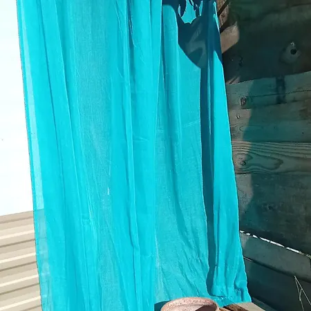 La Vintage Insolite Kemp *