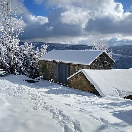 Kemp La Vintage Insolite *